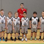 Koalas zwischen S-Bahn und Autobahn