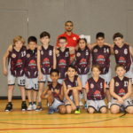 Falken in der Nähe des Stadtparks gesichtet