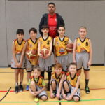 Clever spielende Füchse