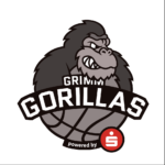 DURCHSTARTEN mit BASKETBALL an der Grimmschule