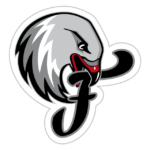 Werde Teil der Falcons-Community