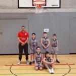 Widder in der Gartenstadt