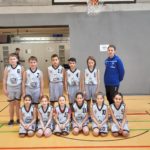 Tagaktive Eulen in Langwasser gesichtet