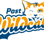 MädelsGO!Basketball beim Post SV Nürnberg!